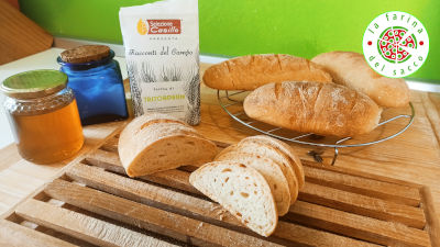 Pane Tritordeum